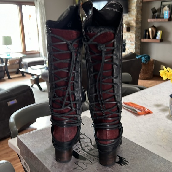 Freebird by Steven Coal - Picture 2 of 4